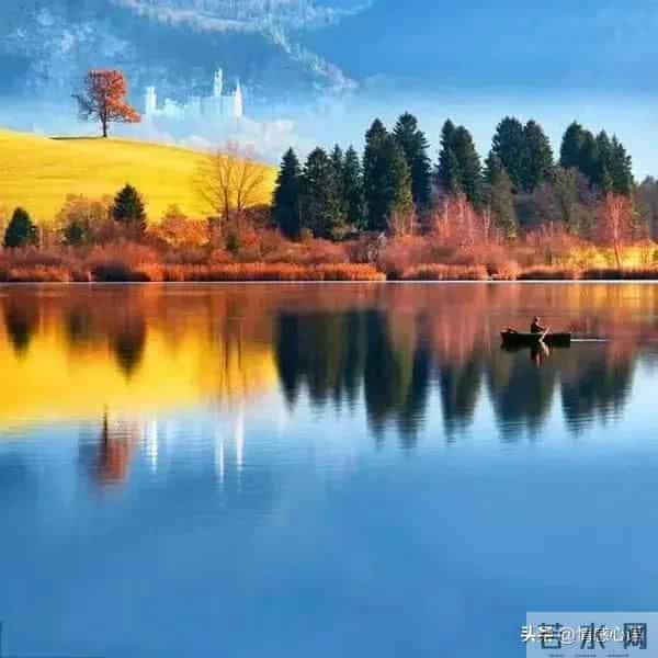 这5种花不要“换大盆”，小盆“憋着养”，疯狂冒花苞