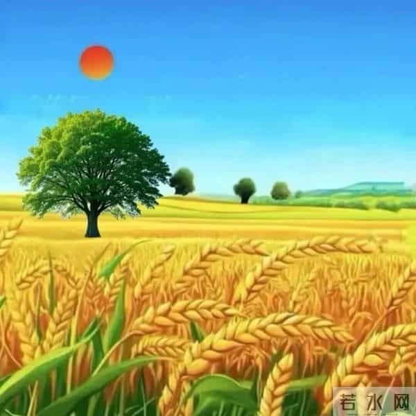 超旺自己的微信头像｜20张