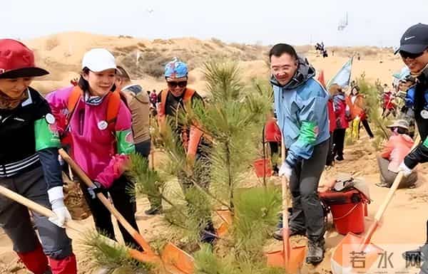 马云斥巨资在沙漠里种树,承诺每年1亿棵,9年过去了,树怎样了