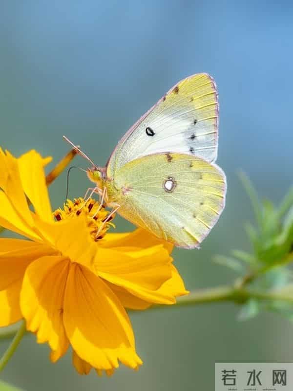9个玄学生活提醒，全是老辈人藏在细节里的真智慧
