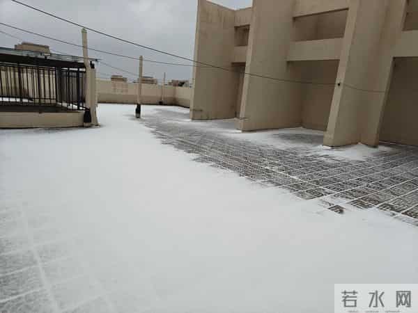 今天是2025年的第一场雪，小外孙恰逢没来，那我就借机撒撒欢吧！