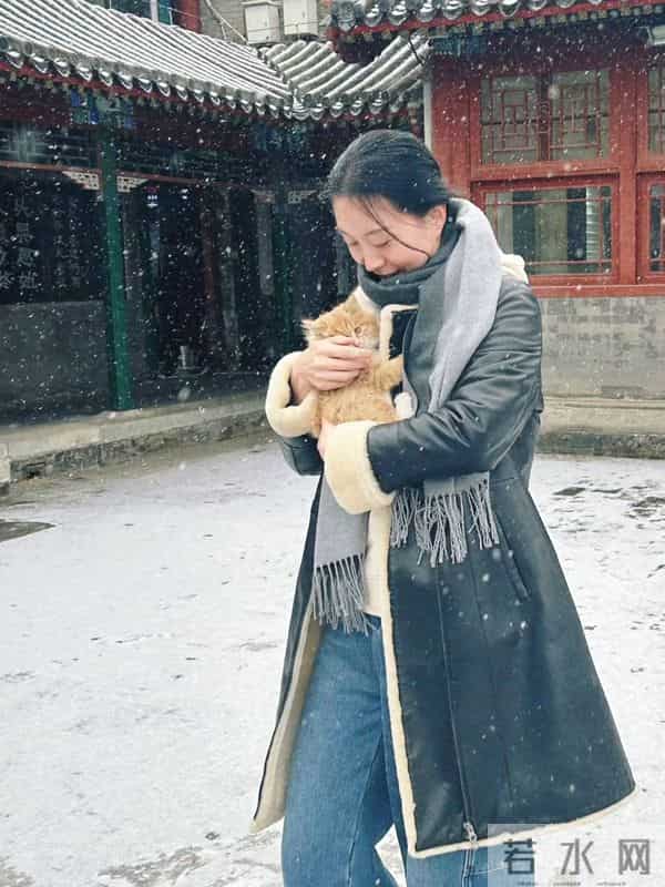 北京初雪——《生活碎笔》之二百一十八