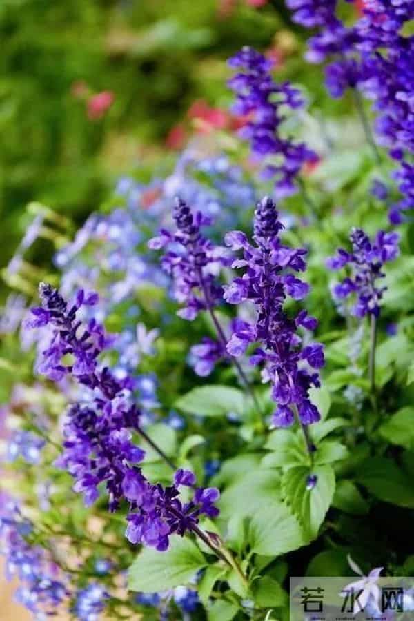 有个院子，一定要做的 3 件小事，幸福感飙升