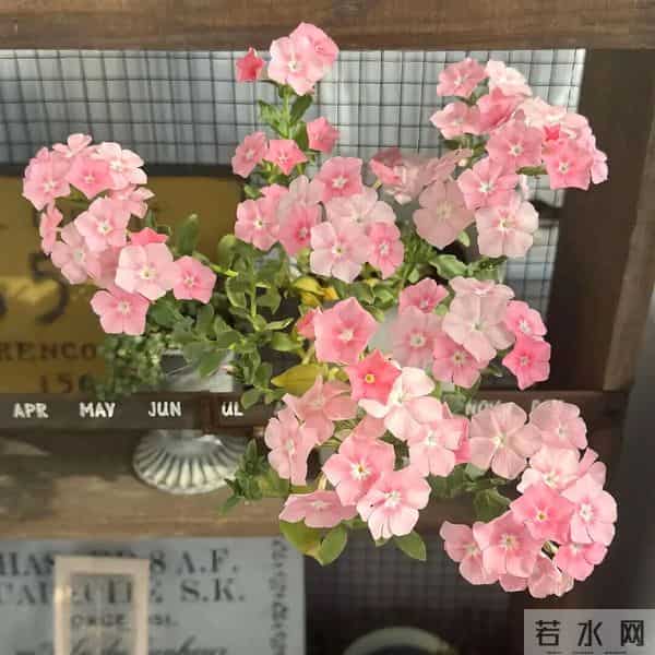 朋友圈背景图头像