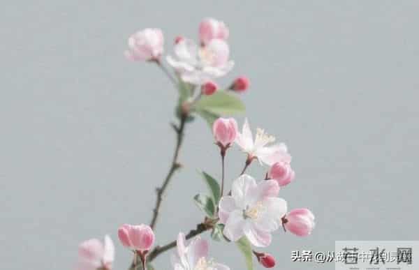 不管有钱没钱，只要家中出现了这“三个吉兆”，家就是福地