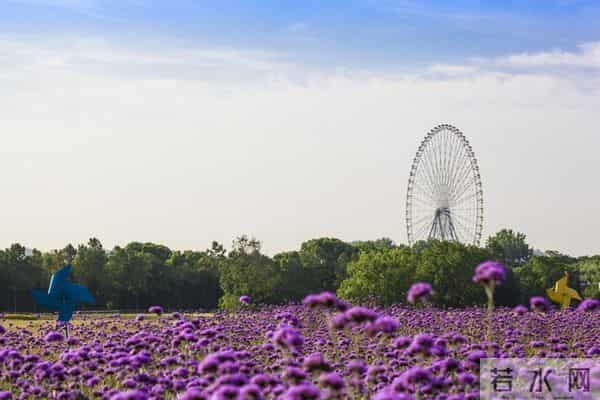 家里留这5样东西越久越不顺，赶紧清，好运主动来