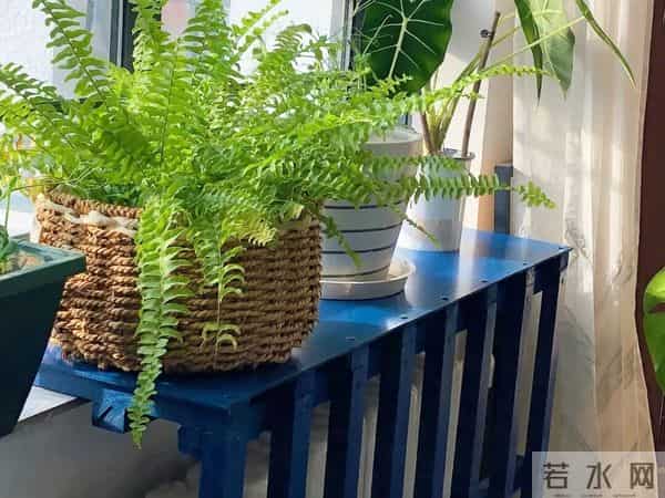 被网友家的5个暖气片用法折服了,思路打开后,比地暖还香