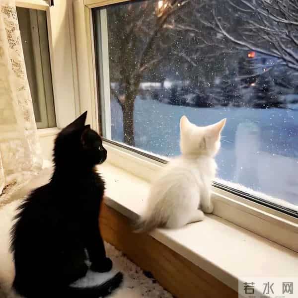 朋友圈背景图头像