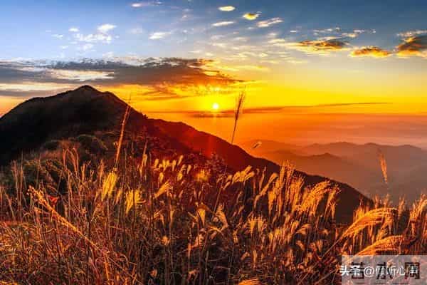 凡是添了孙子的家庭，你们发觉没有，老人都有四个变化