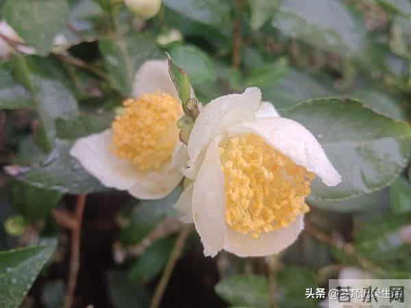 每个人都有自己的底线我不知道将来自己的亲人会不会试探我的底线