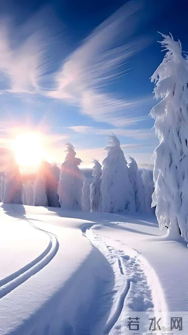 求老天下场雪，我在苏州等得头发都快白了。