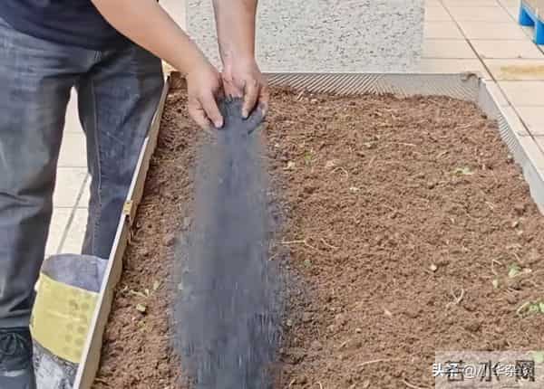 被遗忘的宝藏，草木灰的五大妙用