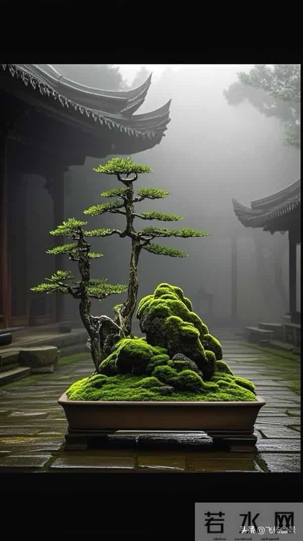 唯美风中式庭院盆景欣赏