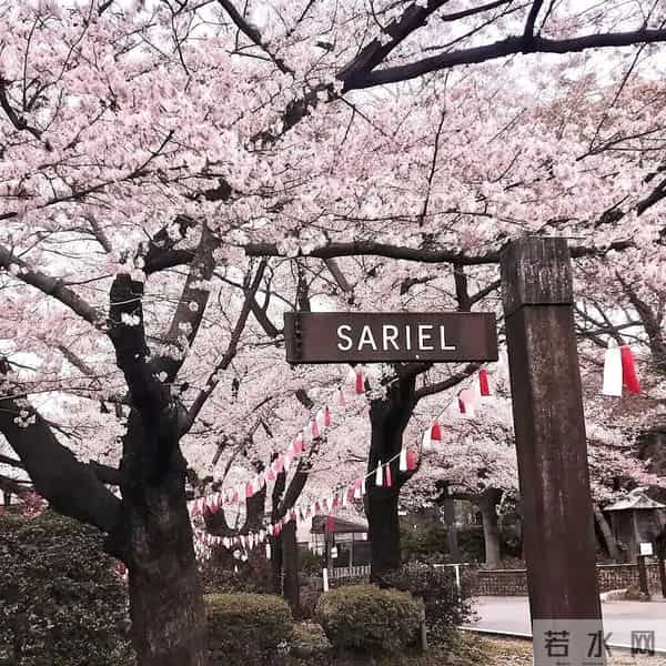 朋友圈背景图头像