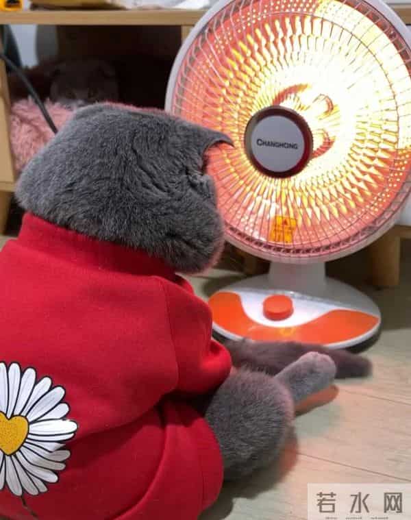 被央视拉黑的4样“取暖神器”，不管天气多冷，都不建议用！