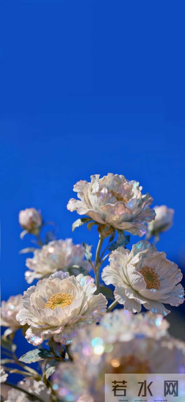 手机壁纸｜没有什么事，比开心和健康更重要