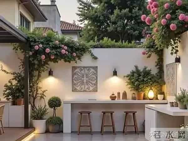 院子里的一口缸,竟成中年人下半生最强治愈神器,很多人不懂玄机