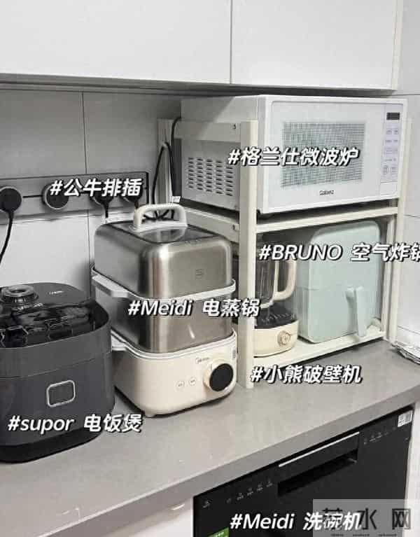 最没用的5种“厨房电器”，白送都不能要！看看你家有几件？