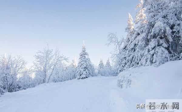 大雪后要养气血,少吃鸡肉多吃这4样,温而不燥,为数九天做准备
