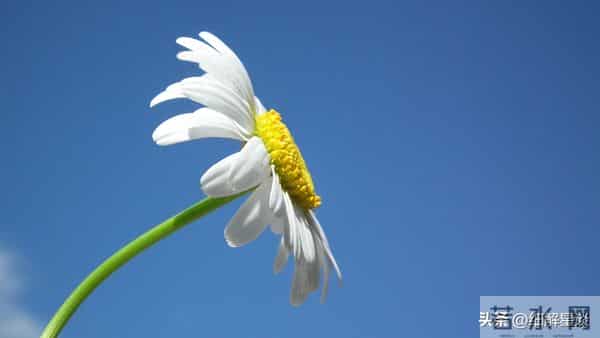 戌狗要“笑醒”了，12月14日后四天，你将会遇见你最大的3位贵人