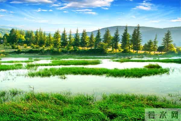 家里突然出现这“三种征兆”,预示好事将近,子女都会沾光!