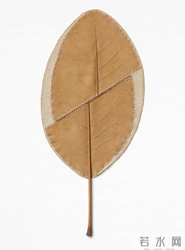 艺术家的手里真的什么都可以变美！艺术家 Susanna Bauer 树叶的艺术