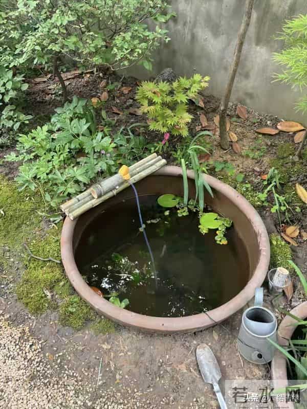 有了院子，一定要放个水缸，院里那口缸，是安放灵魂的老地方