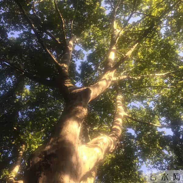 朋友圈背景图头像