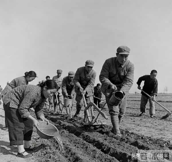 野鸳鸯（48）白鸢身体不适