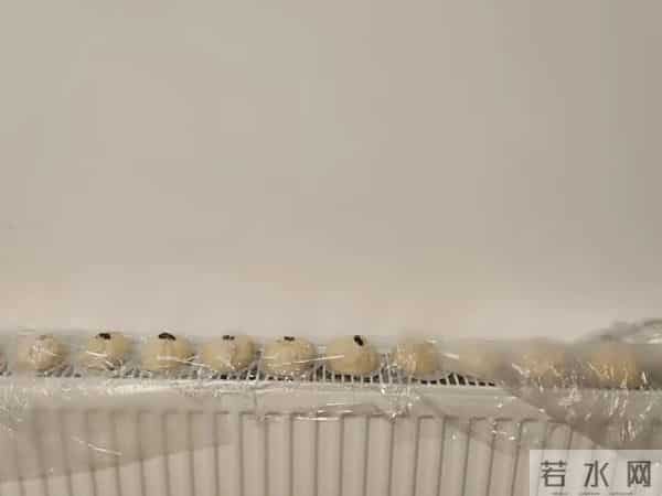 被网友家的5个暖气片用法折服了,思路打开后,比地暖还香