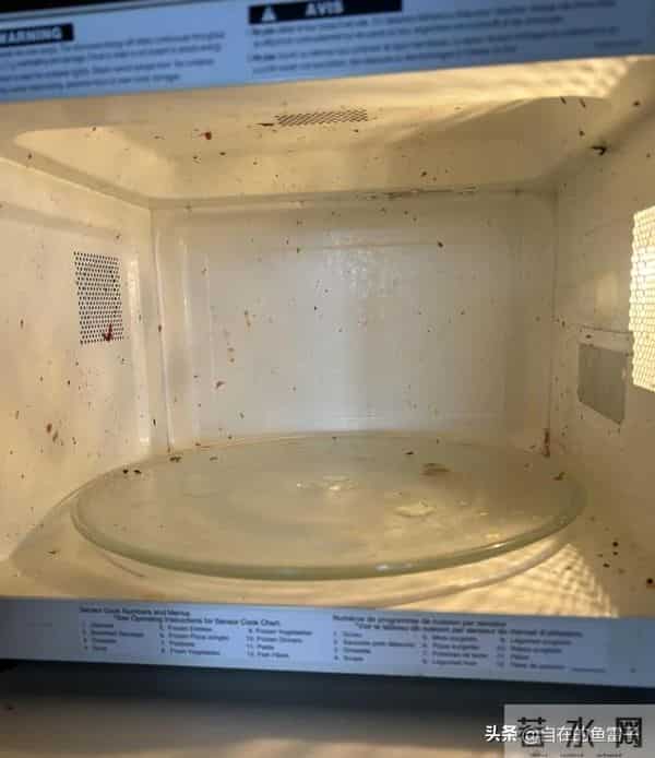 被网友的生活智慧惊呆了！小家电换个思路清洗，干净又轻松