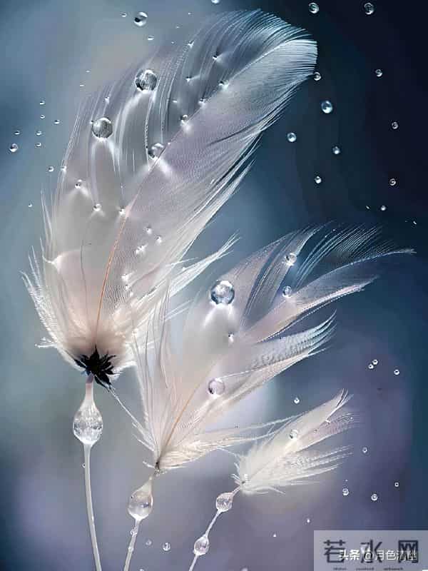 男子醉后，当着妻子和孩子的面说：我后悔娶你了！还是喜欢前女友