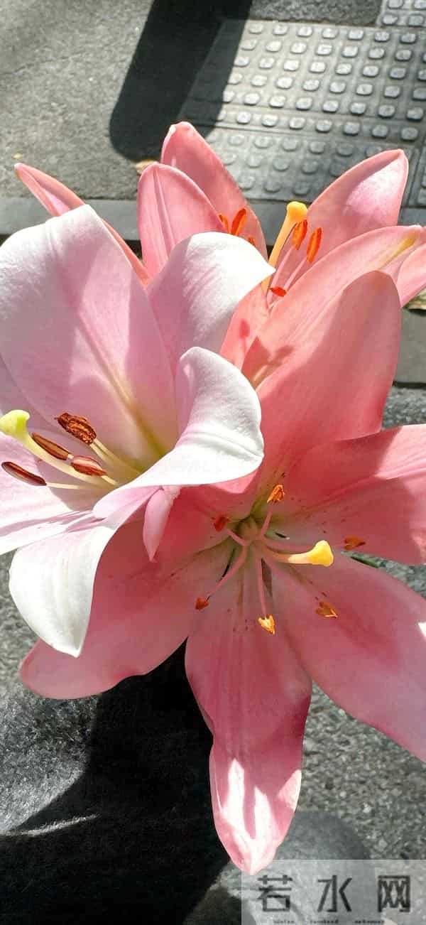 值得长期不换的壁纸