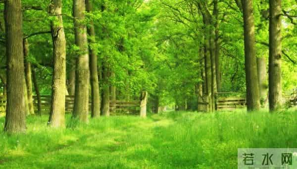 家里突然出现这“三种征兆”，预示好事将近，子女都会沾光！