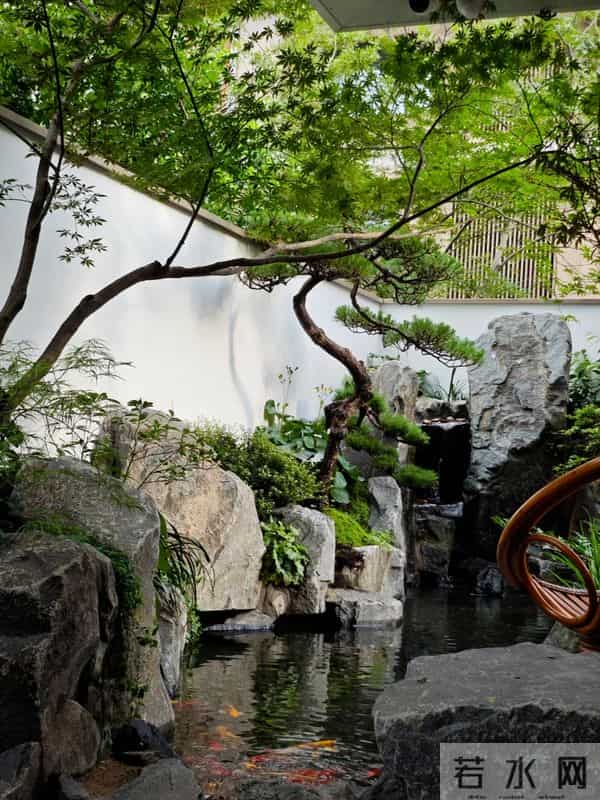 种树一定要种对位置！种错位置，后悔一辈子！