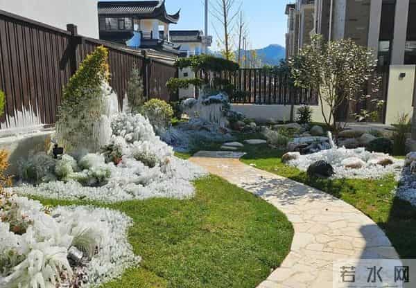 8种花要放外面“冻着养”，千万别搬进屋，不然影响明年开花！