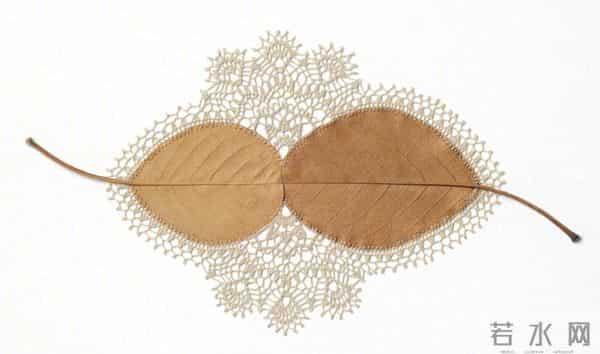 艺术家的手里真的什么都可以变美！艺术家 Susanna Bauer 树叶的艺术