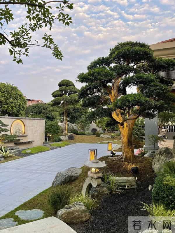 种树一定要种对位置！种错位置，后悔一辈子！