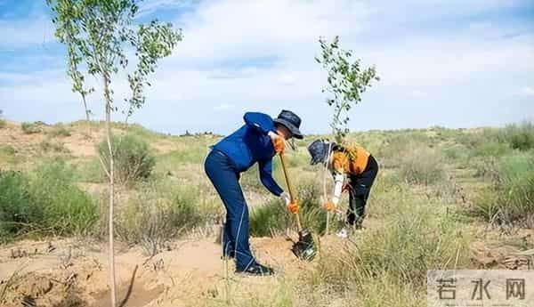 马云斥巨资在沙漠里种树,承诺每年1亿棵,9年过去了,树怎样了