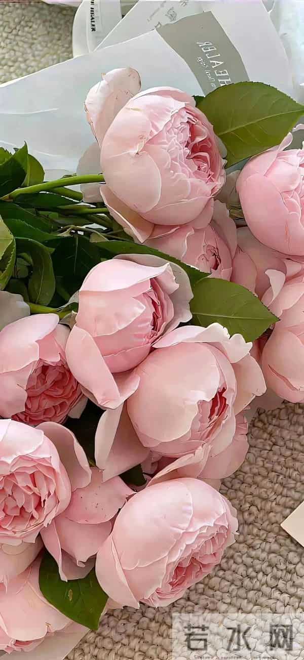 温柔粉色系壁纸