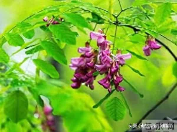 门口放一天，家里穷三年”？邻居用亲身经历告诉你，真不是迷信！