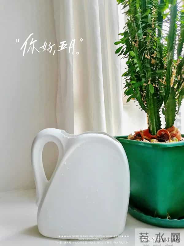 婆婆怎么能聪明成这样？咱们瞧不上的，到她手里都成收纳神器了！