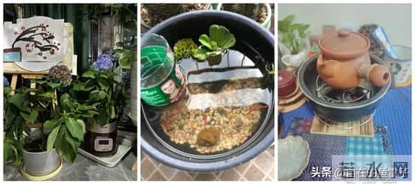 闲置旧家电别只当废品卖！网友的脑洞改造，让你直呼亏大了