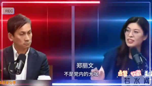 郑丽文参选背后故事大揭秘！