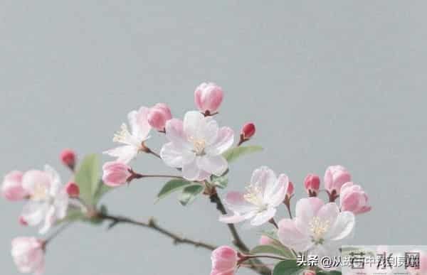 不管有钱没钱，只要家中出现了这“三个吉兆”，家就是福地