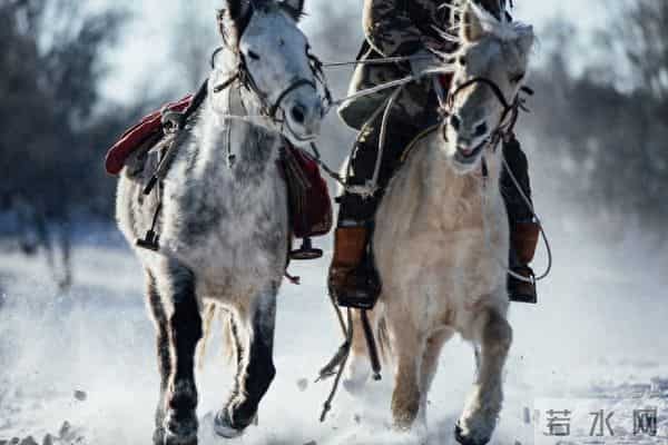 打猎人生-联想185