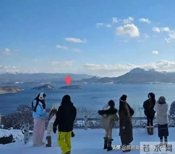 王思聪在国外过得挺逍遥自在的！六个美女陪伴的非常周到！