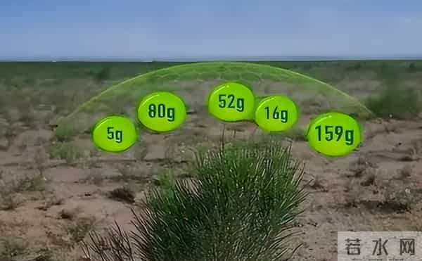 马云斥巨资在沙漠里种树,承诺每年1亿棵,9年过去了,树怎样了