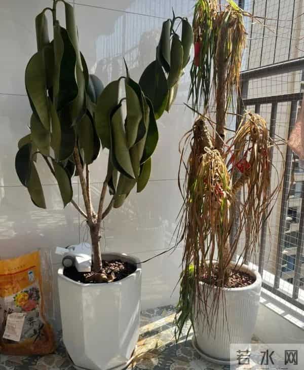 “7种旧东西,再穷也别留”,不是迷信,是很多家庭踩过的坑