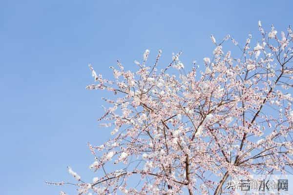 有富之人，藏不住”：有福气的男人，身上有这3个特点